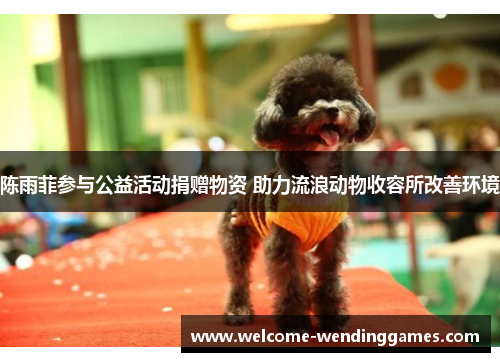 陈雨菲参与公益活动捐赠物资 助力流浪动物收容所改善环境 陈雨菲参与公益活动捐赠物资 助力流浪动物收容所改善环境