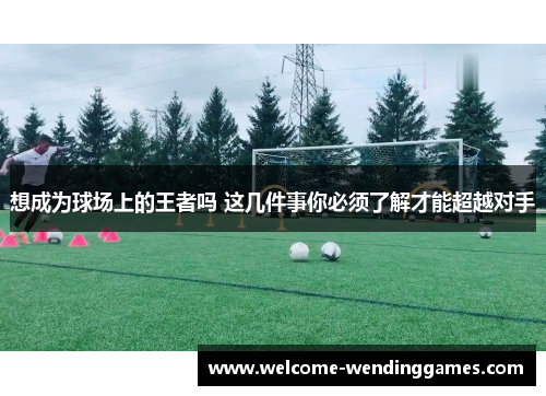 想成为球场上的王者吗 这几件事你必须了解才能超越对手