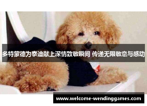 多特蒙德为泰迪献上深情致敬瞬间 传递无限敬意与感动 多特蒙德为泰迪献上深情致敬瞬间 传递无限敬意与感动