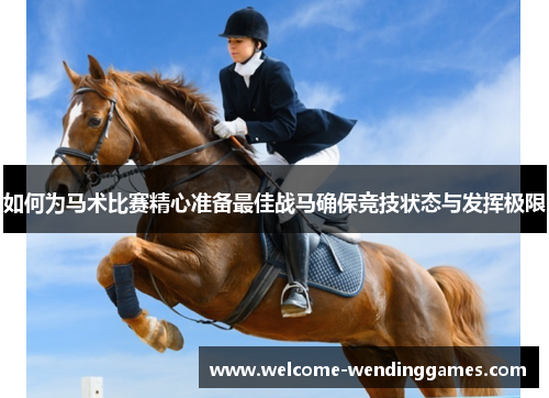 如何为马术比赛精心准备最佳战马确保竞技状态与发挥极限 如何为马术比赛精心准备最佳战马确保竞技状态与发挥极限