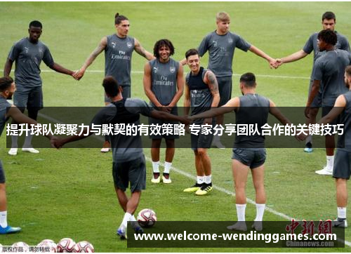 提升球队凝聚力与默契的有效策略 专家分享团队合作的关键技巧 提升球队凝聚力与默契的有效策略 专家分享团队合作的关键技巧