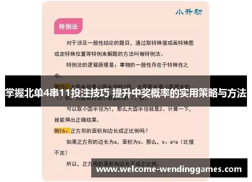 掌握北单4串11投注技巧 提升中奖概率的实用策略与方法 掌握北单4串11投注技巧 提升中奖概率的实用策略与方法