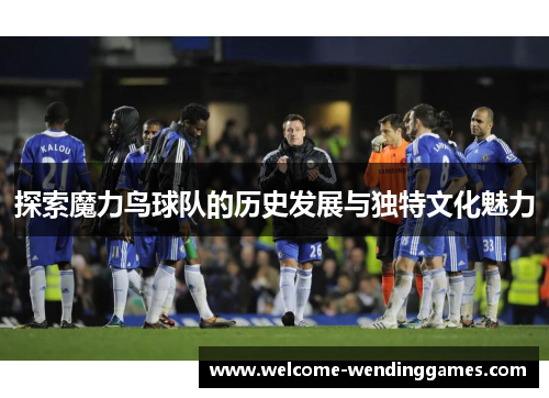 探索魔力鸟球队的历史发展与独特文化魅力