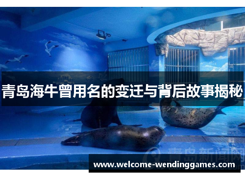 青岛海牛曾用名的变迁与背后故事揭秘 青岛海牛曾用名的变迁与背后故事揭秘