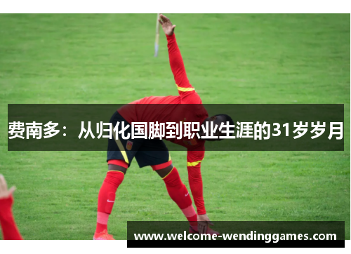 费南多:从归化国脚到职业生涯的31岁岁月 费南多:从归化国脚到职业生涯的31岁岁月